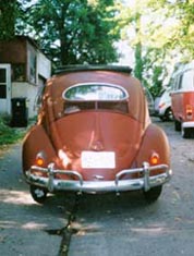 oval window beetle rear